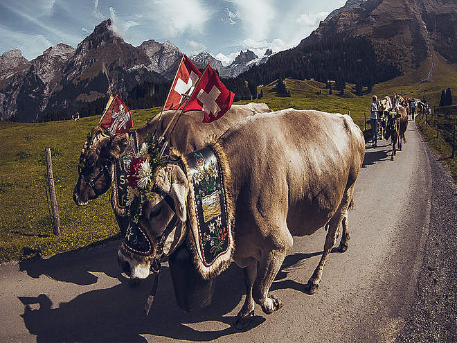 engelberg ski tour