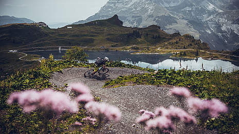 Mountainbike Trail, Engelberg ist eine der grössten Bikeregionen der Zentralschweiz