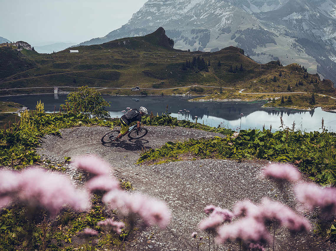 Mountainbike Trail, Engelberg ist eine der grössten Bikeregionen der Zentralschweiz