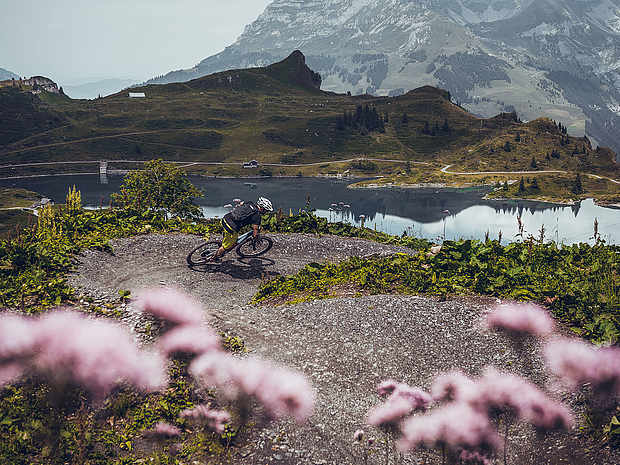 Mountainbike Trail, Engelberg ist eine der grössten Bikeregionen der Zentralschweiz