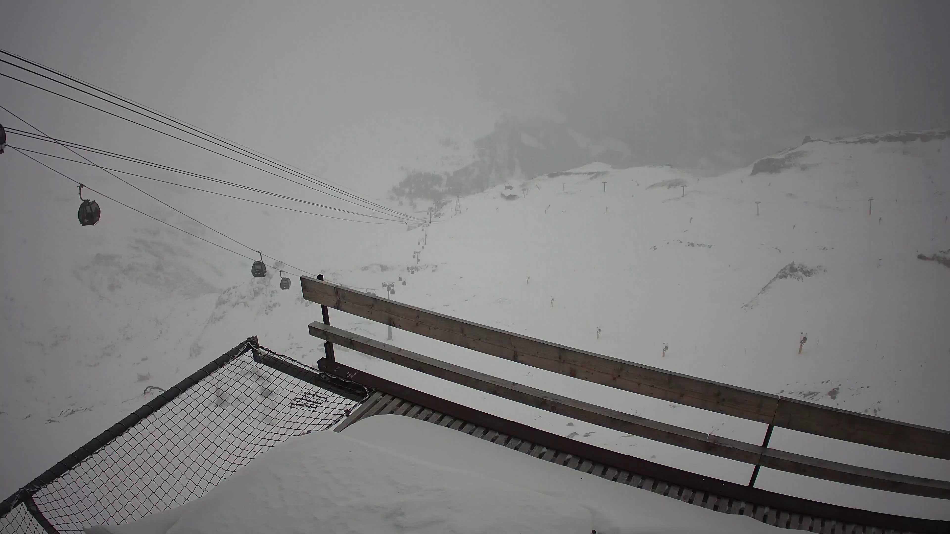 Bild nicht verfügbar