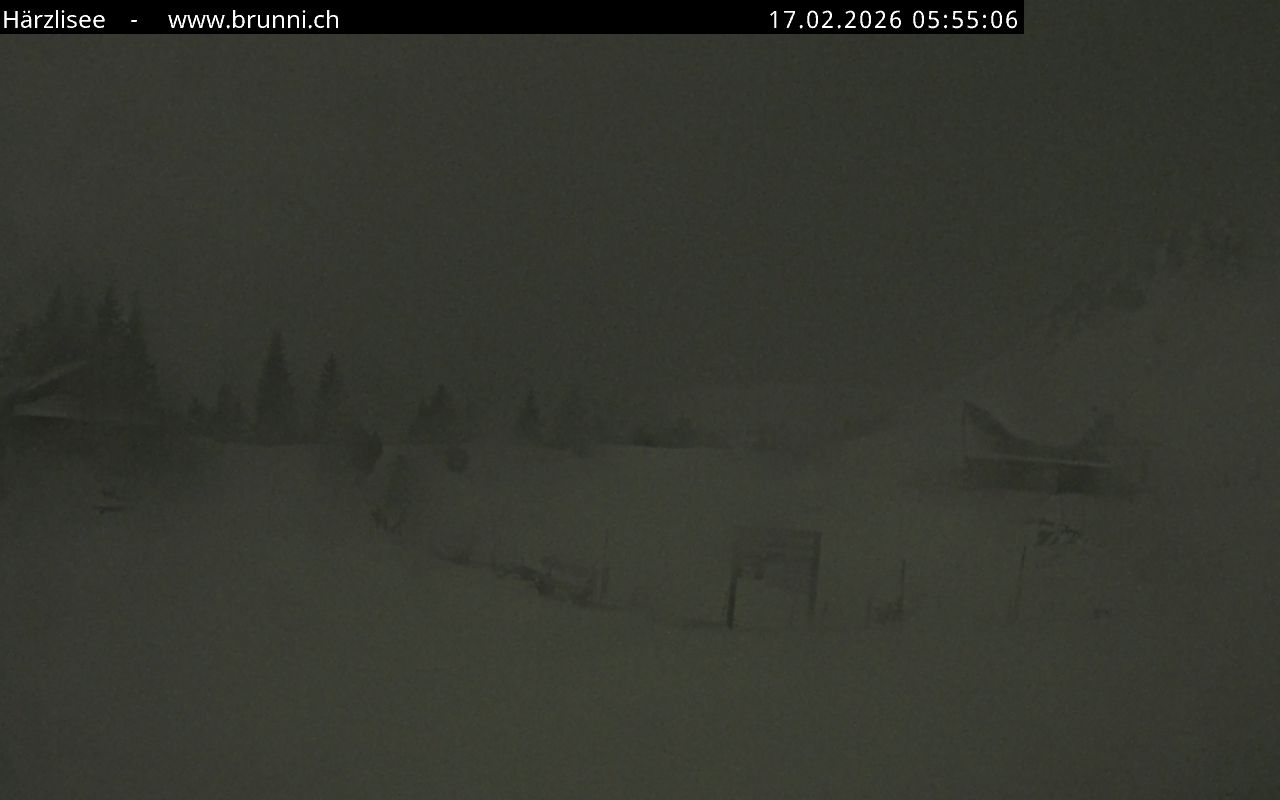 Bild nicht verfügbar