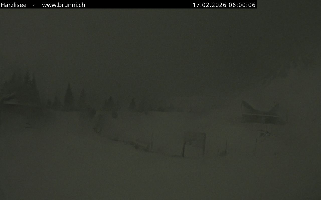 Bild nicht verfügbar