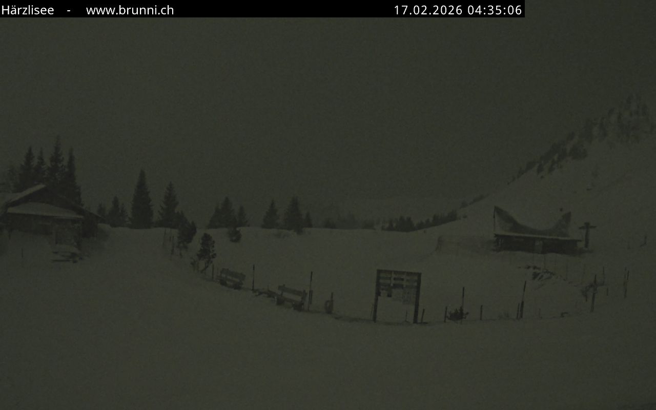 Bild nicht verfügbar