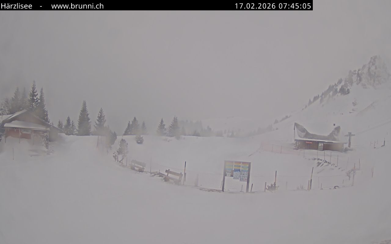 Bild nicht verfügbar