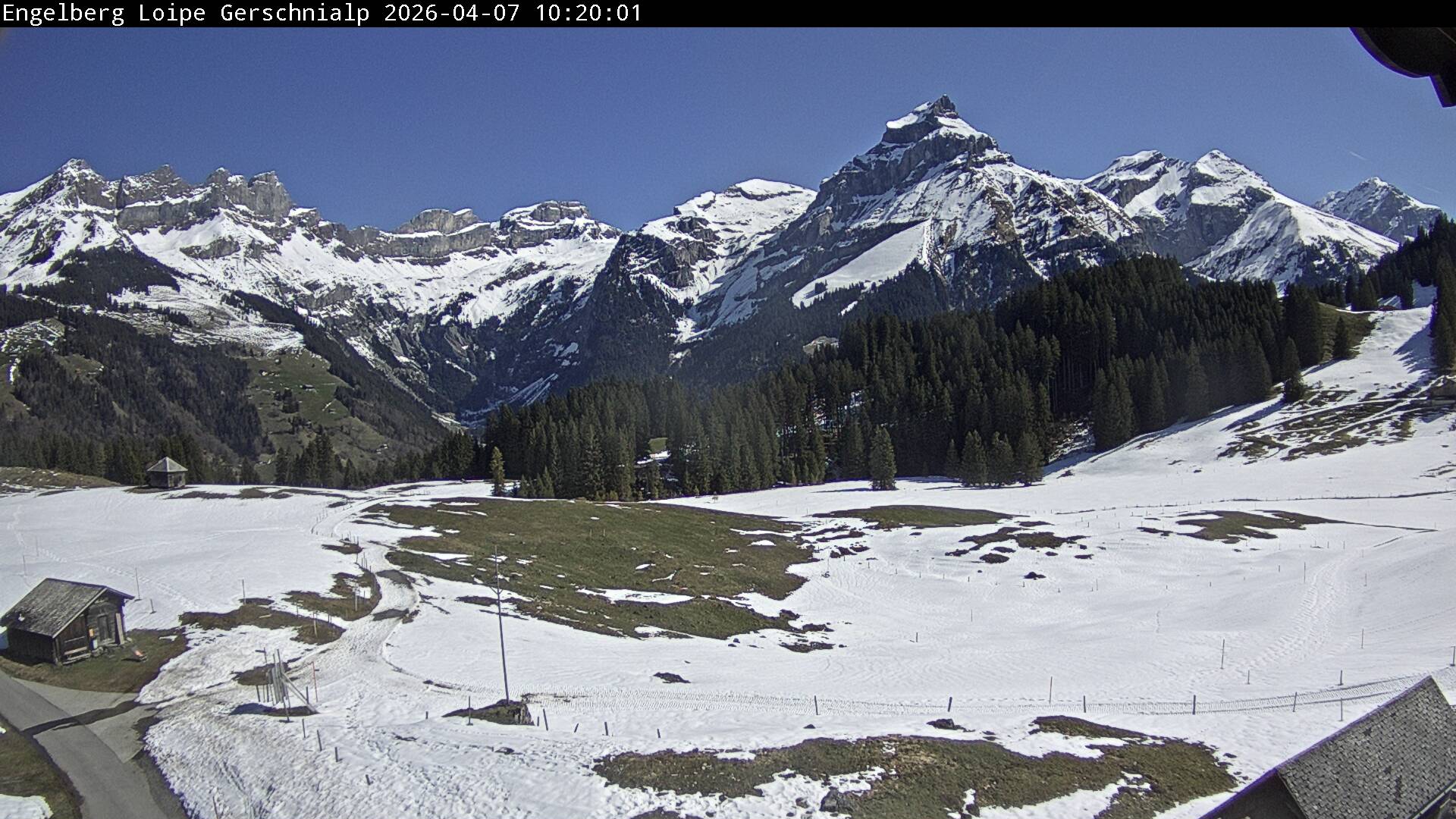 Bild nicht verfügbar