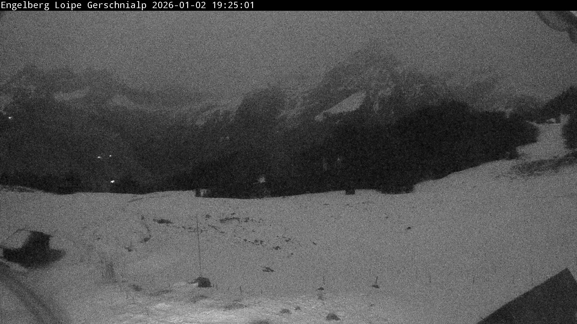 Bild nicht verfügbar