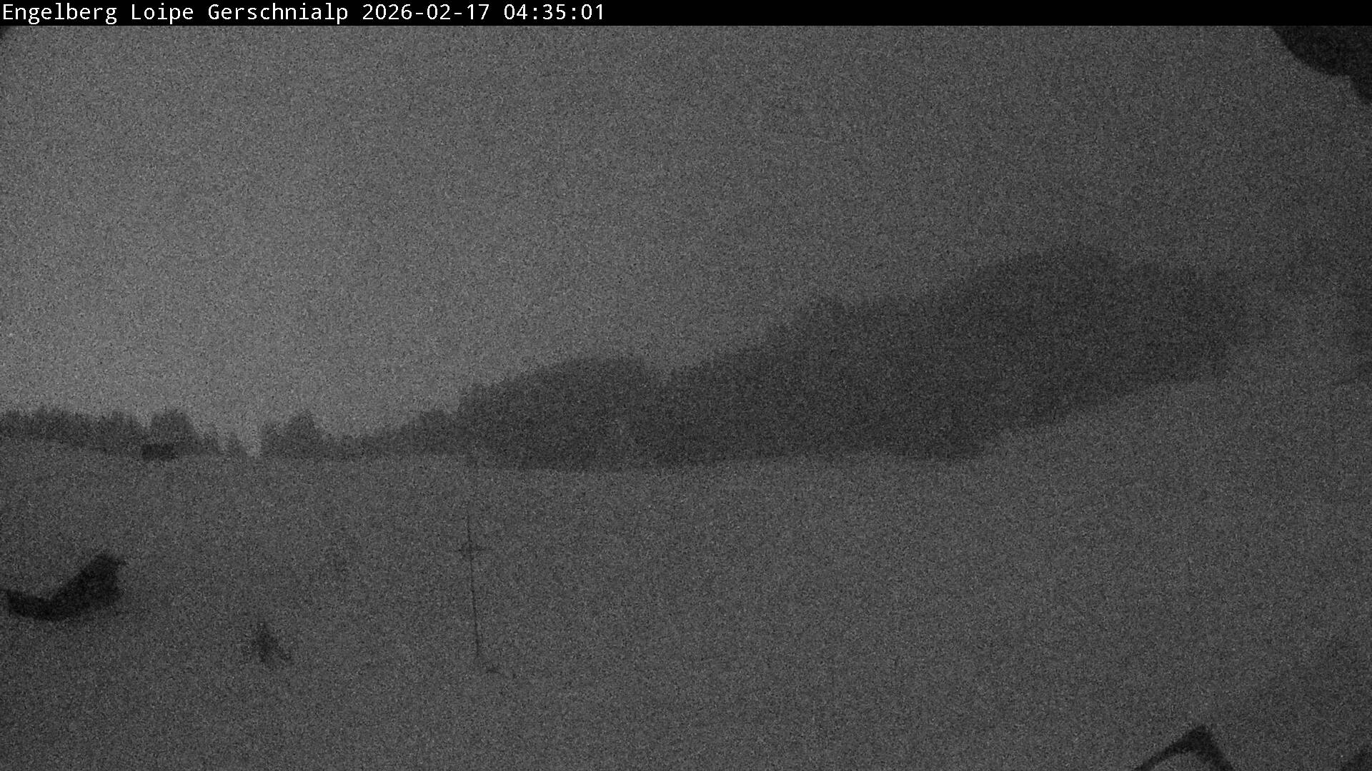 Bild nicht verfügbar