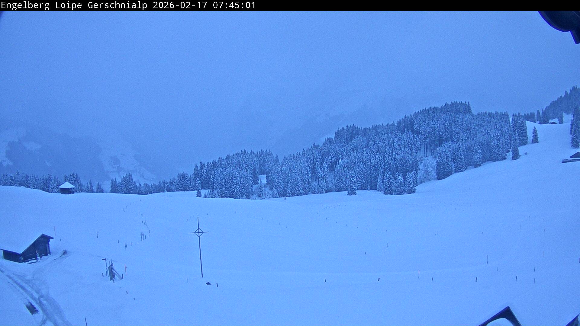 Bild nicht verfügbar