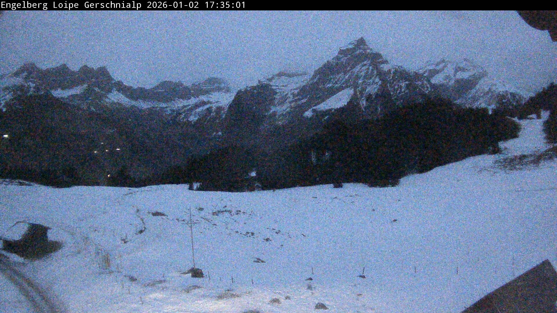 Bild nicht verfügbar