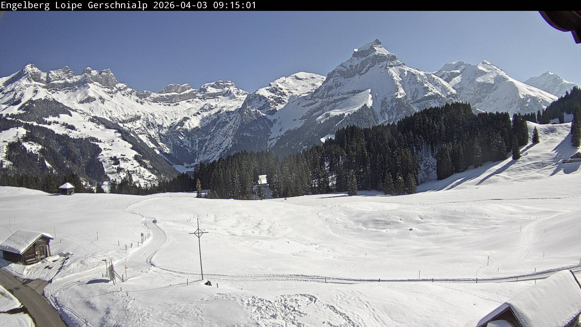 Bild nicht verfügbar