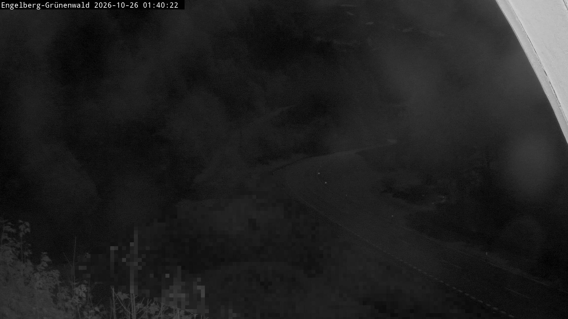 Webcam Engelberg – Grünenwald