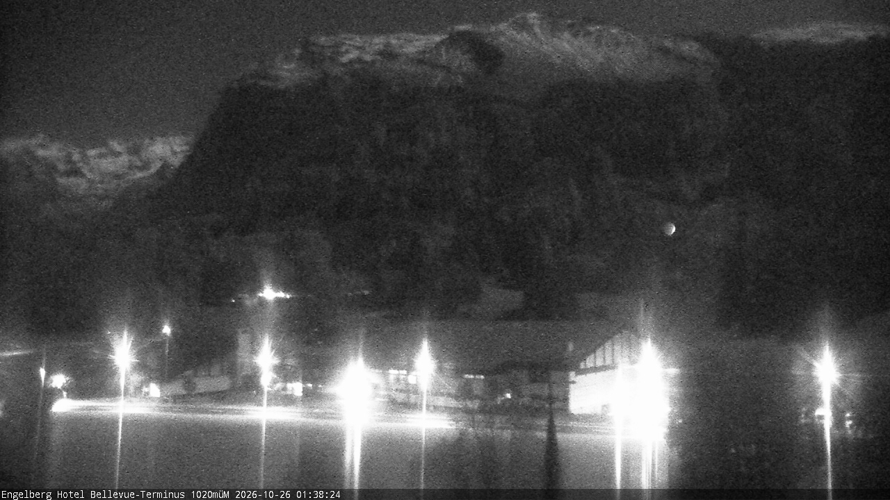 Webcam Engelberg – Erlenwiese e Laub, dal Bellevue-Terminus